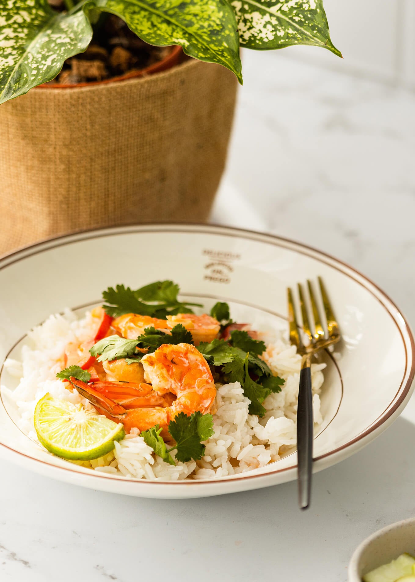 E-Book Bundle 6 Pack